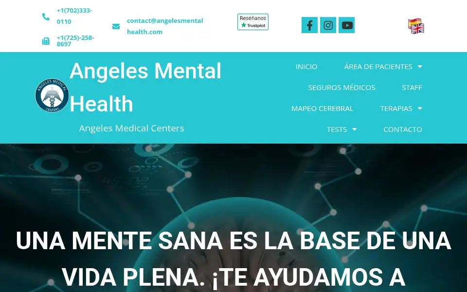 Screenshot of angelesmentalhealth.com