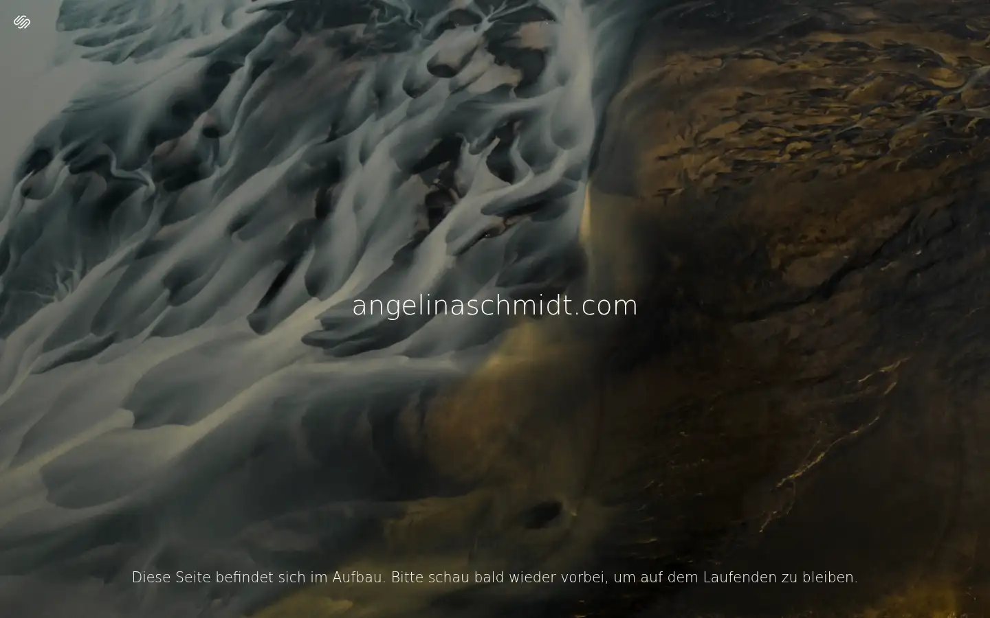 Screenshot of angelinaschmidt.com