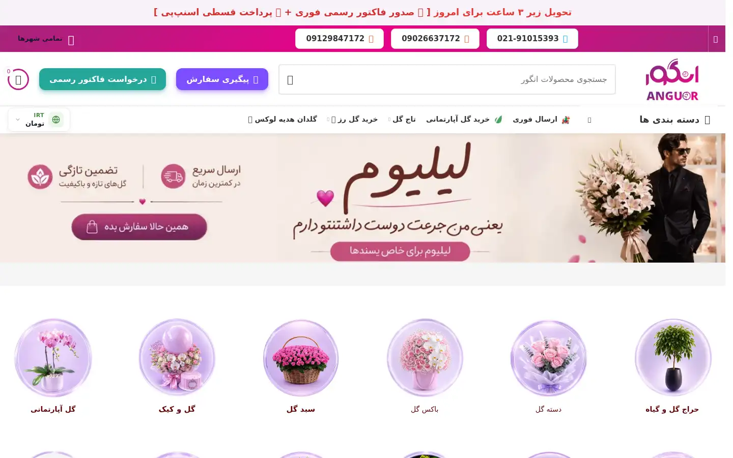 Screenshot of anguor.com