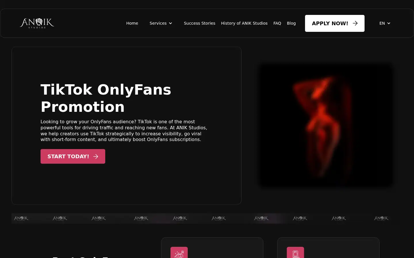Screenshot of anik-studios.com