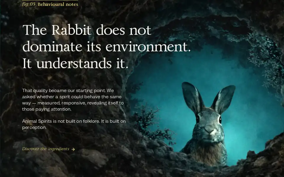 Screenshot of animal-spirits.com
