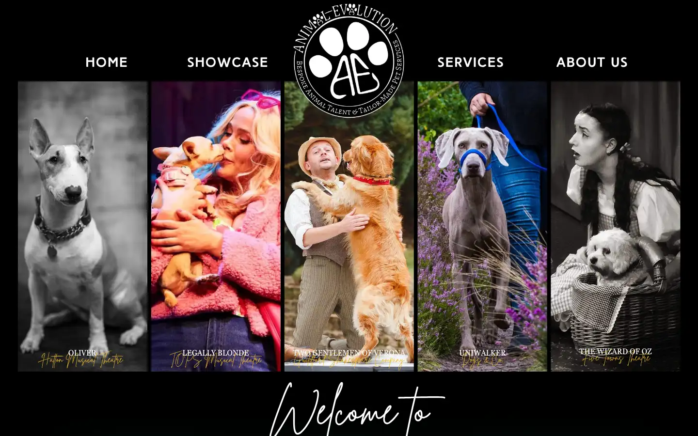 Screenshot of animalevalution.com