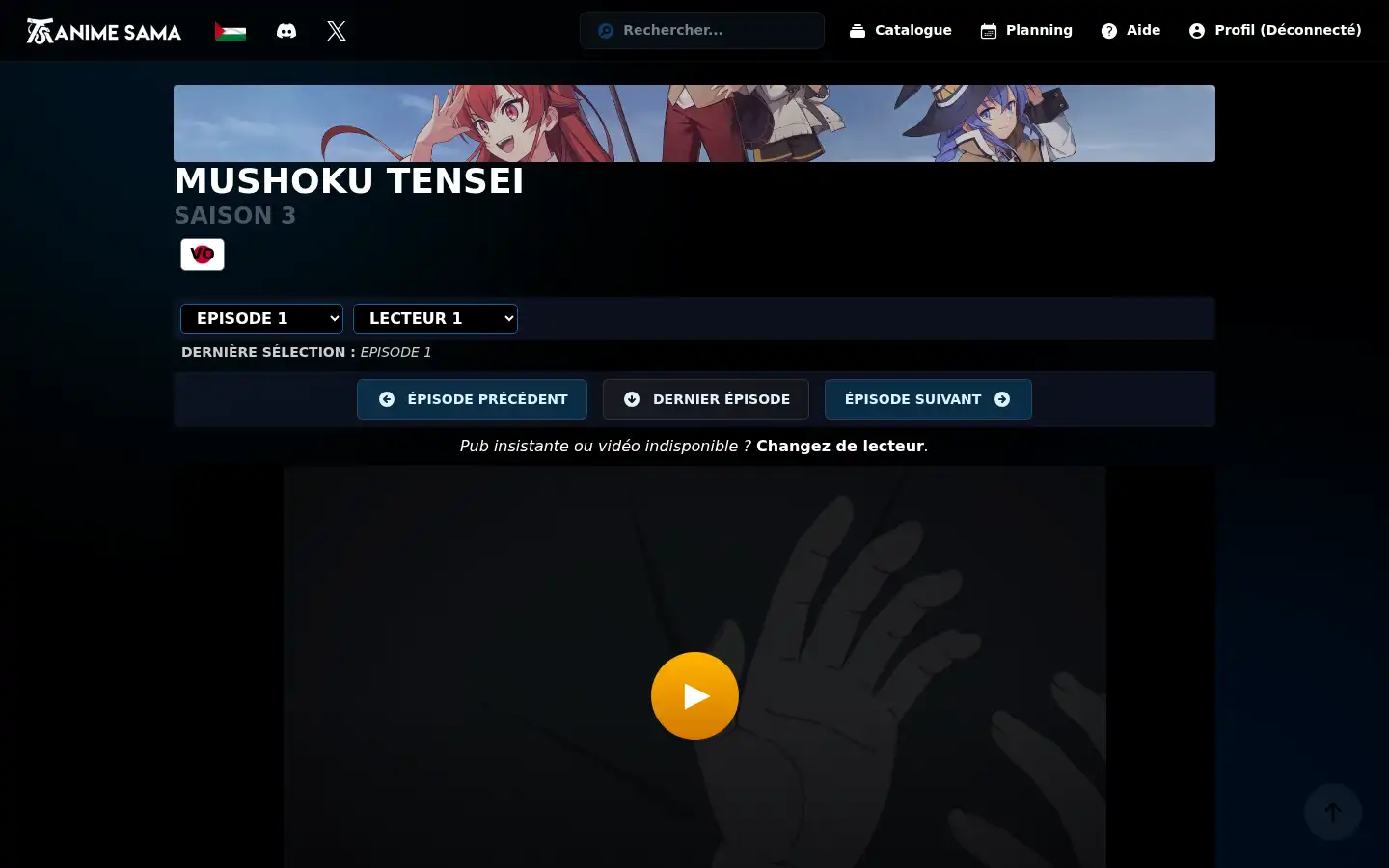 Screenshot of anime-sama.org