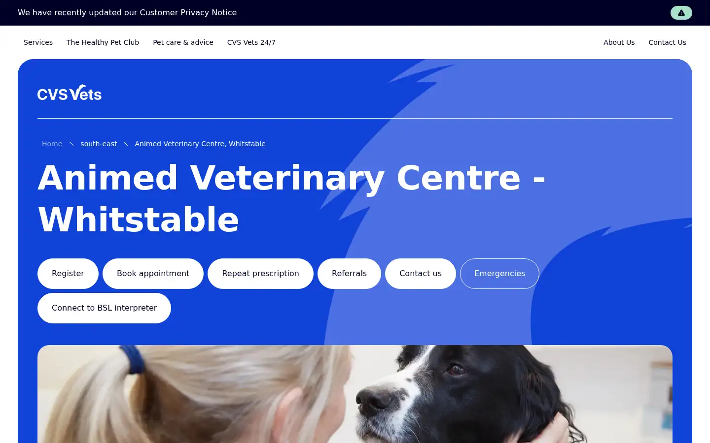 Screenshot of animedvets.com
