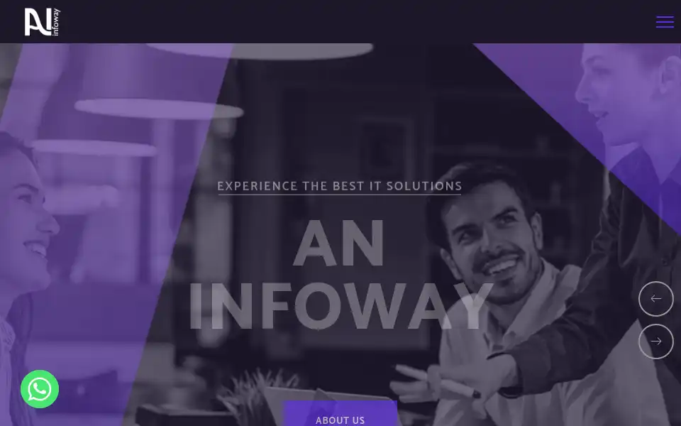 Screenshot of aninfoway.com