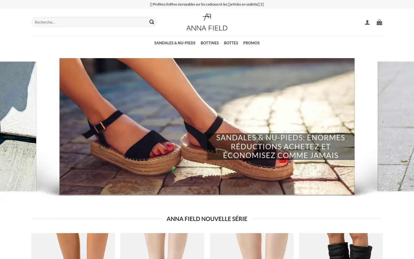 Screenshot of annafieldfrshop.com