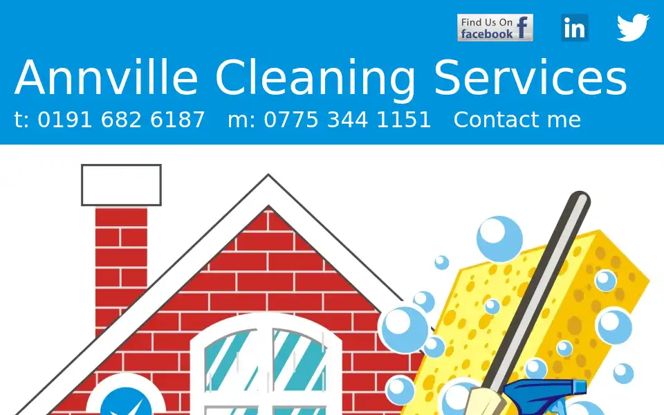 Screenshot of annvillecleaningservices.co.uk