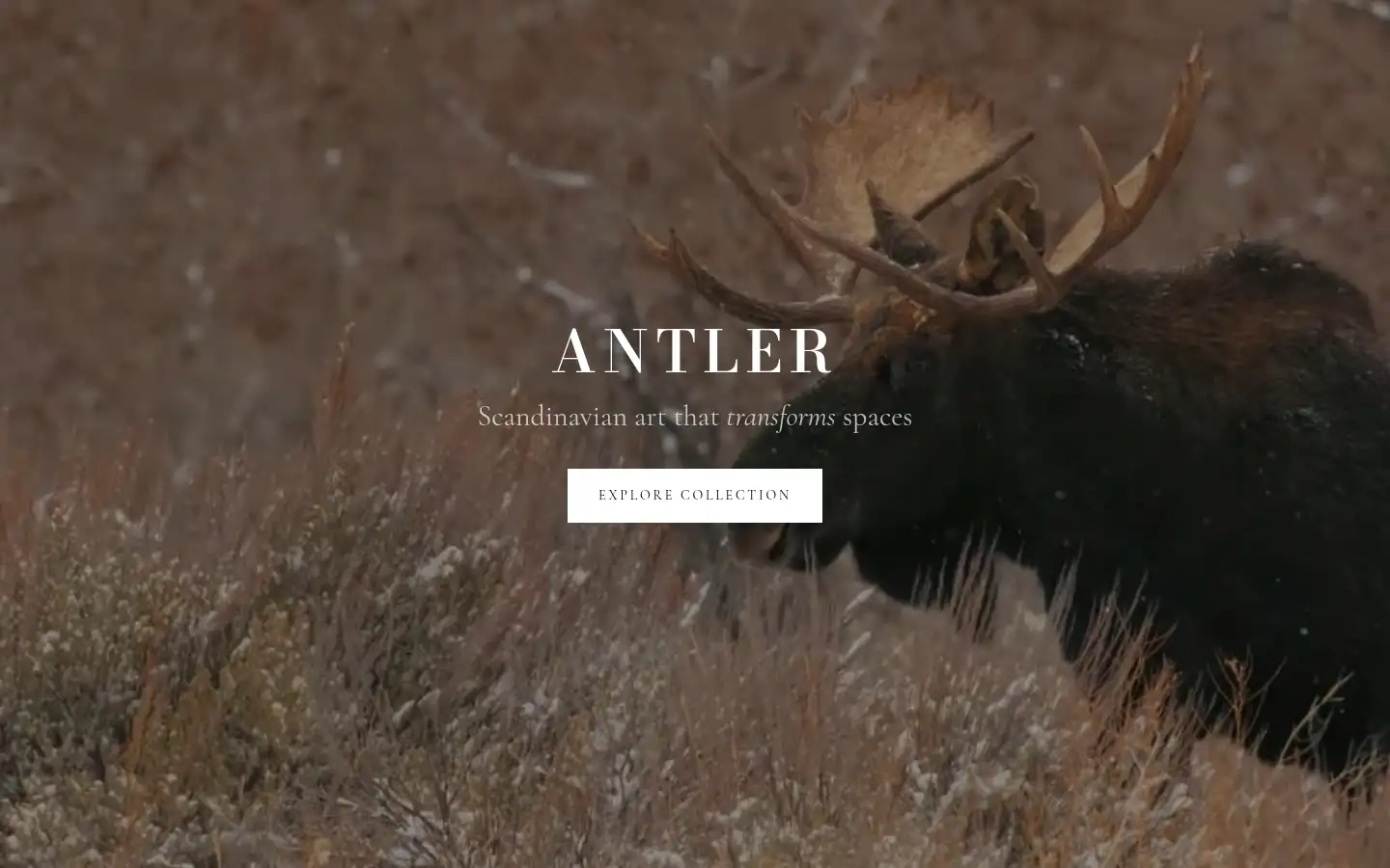 Screenshot of antlernordic.com