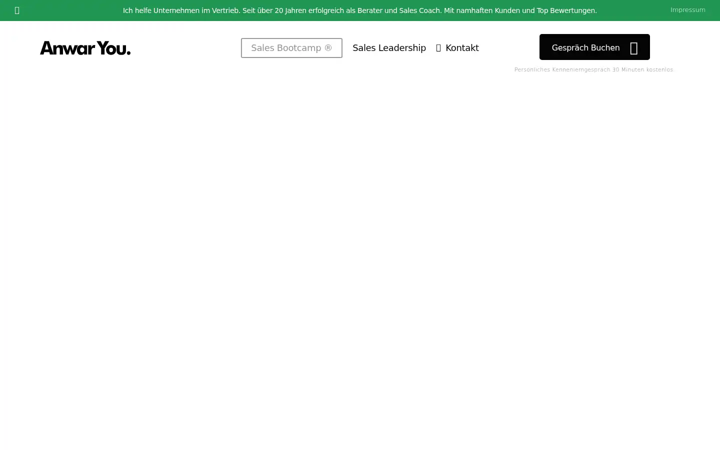 Screenshot of anwar-elyounoussi.com