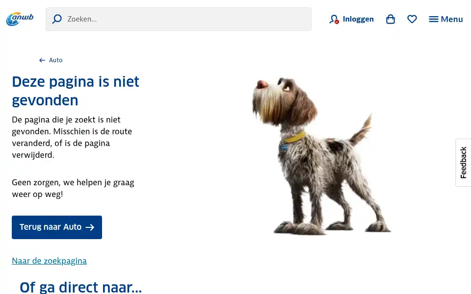 Screenshot of anwbdriversacademy.nl