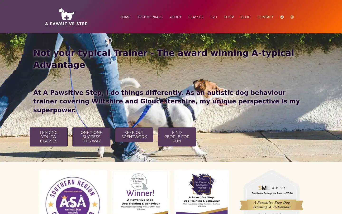 Screenshot of apawsitivestep.co.uk