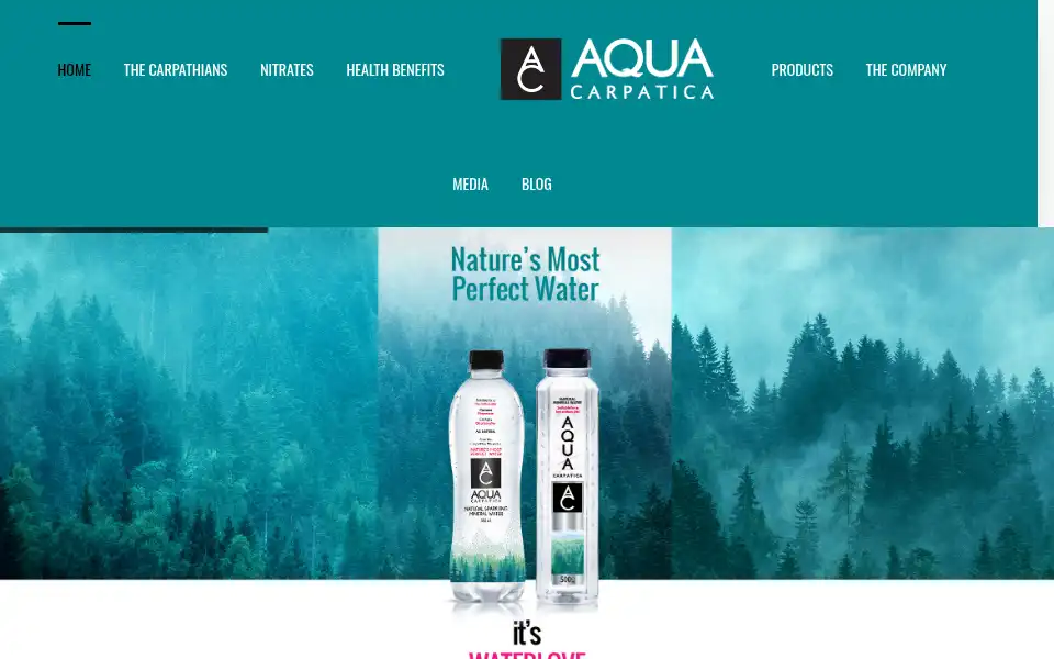 Screenshot of aquacarpatica.co.uk
