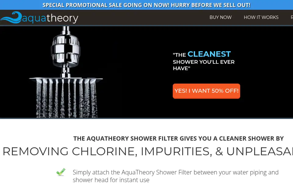 Screenshot of aquatheoryshower.com