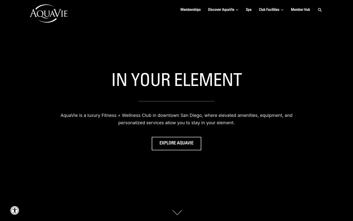 Screenshot of aquaviewellness.com