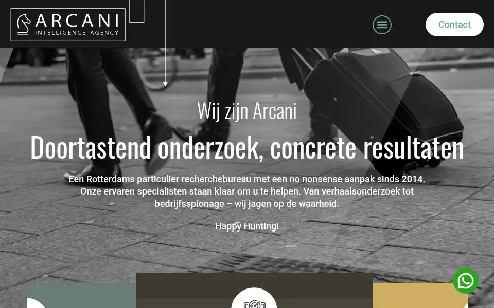 Screenshot of arcani.eu