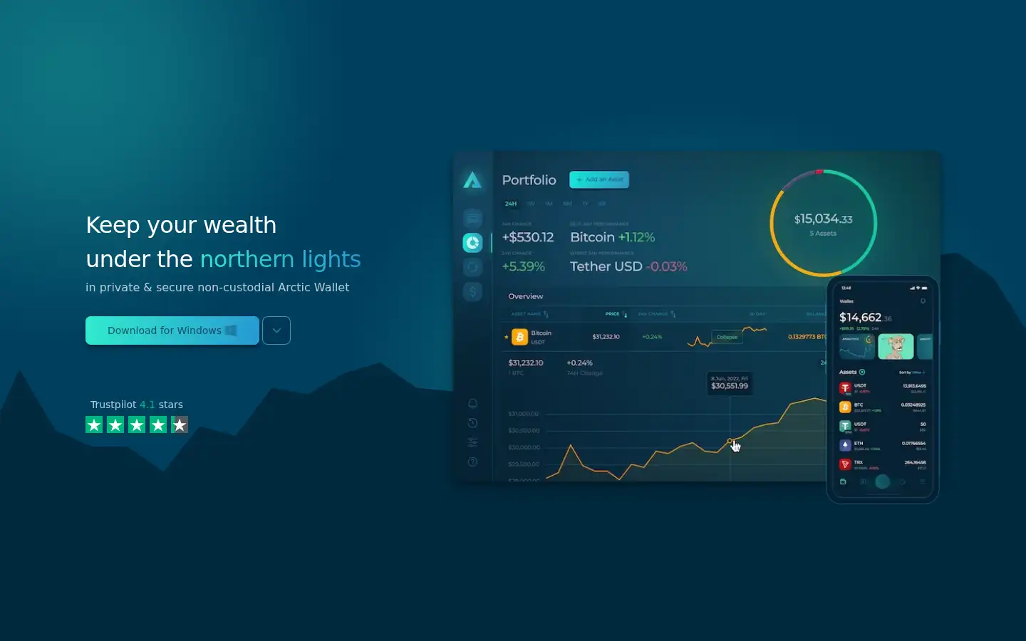 Screenshot of arcticwallet.io