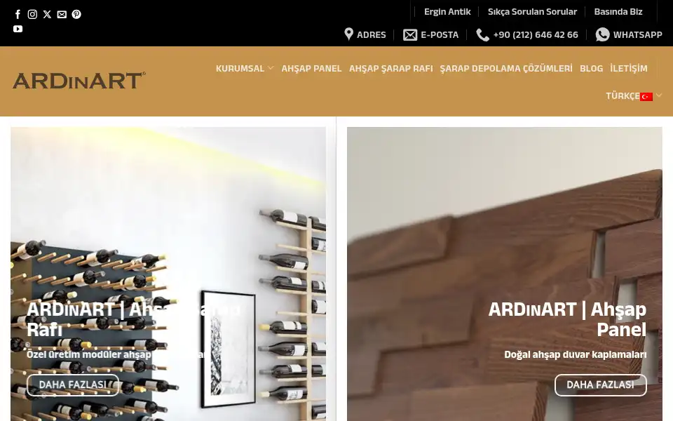 Screenshot of ardinart.com