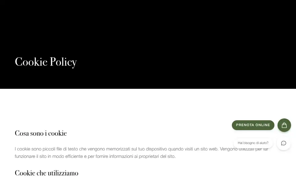 Screenshot of arielmedical.it