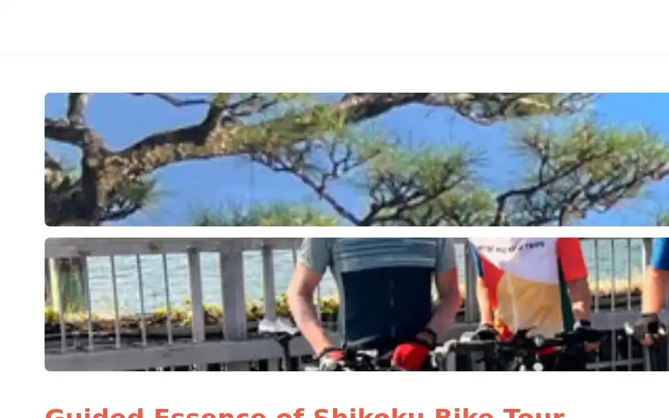 Screenshot of artofbicycletrips.com