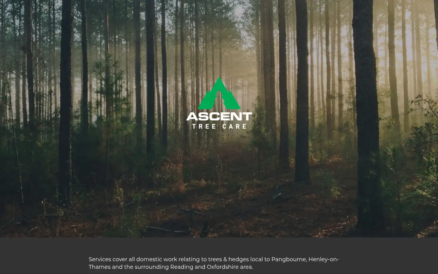 Screenshot of ascenttreecare.co.uk