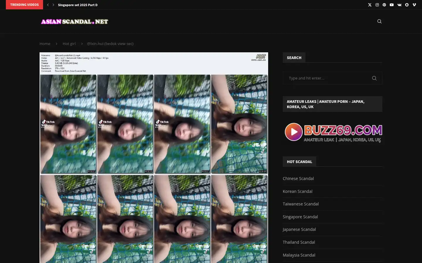Screenshot of asianscandal.net