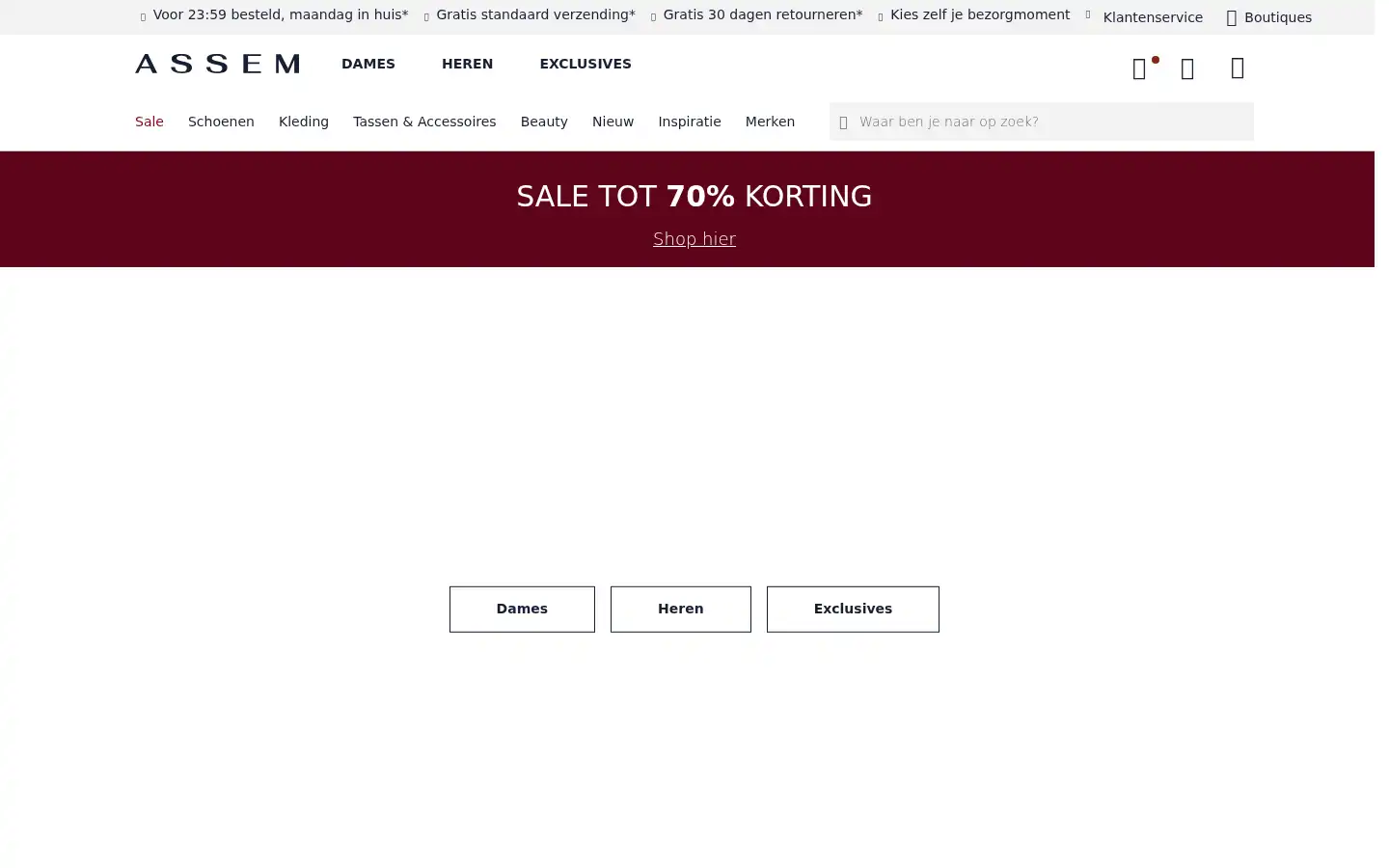 Screenshot of assem.nl