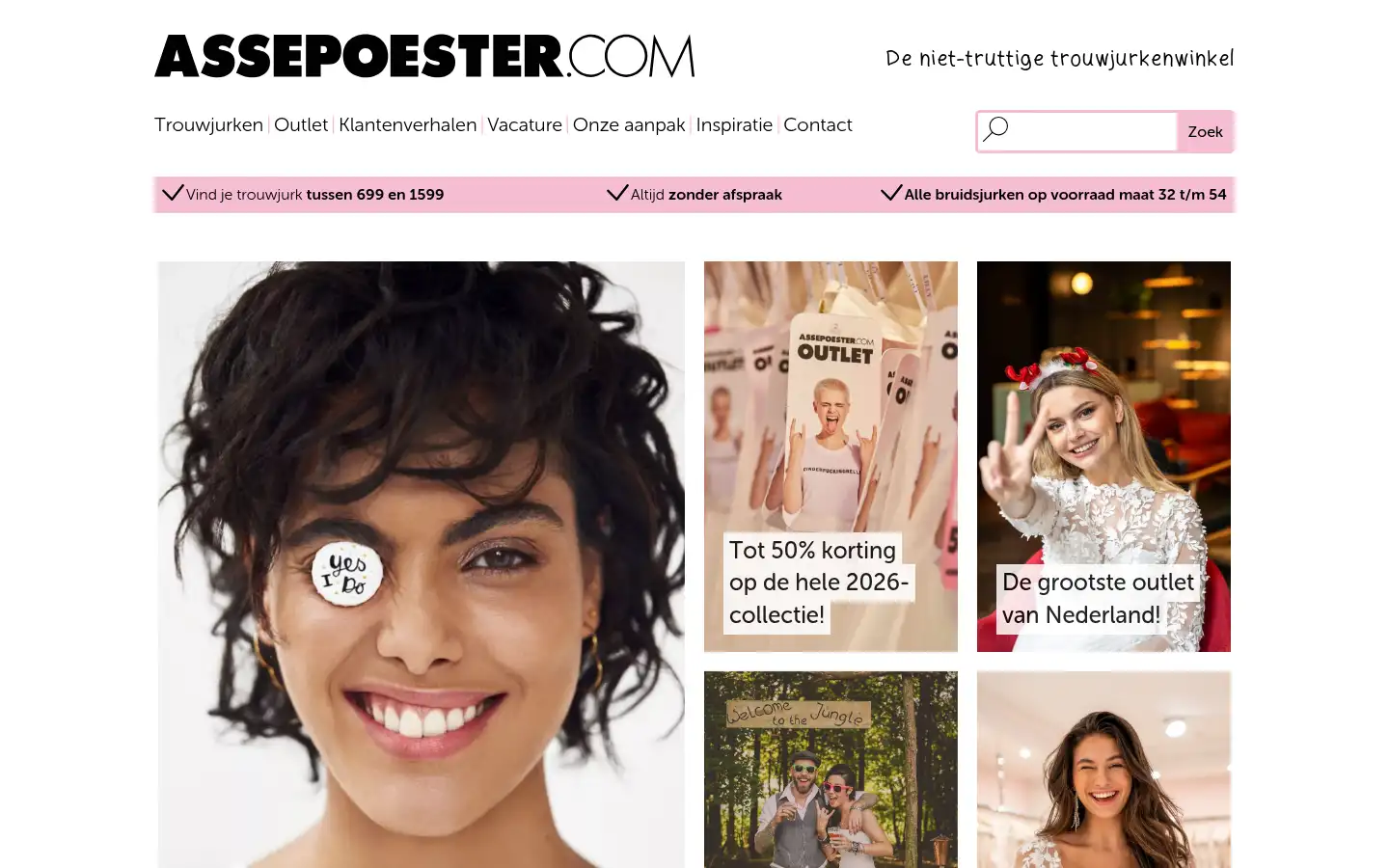 Screenshot of assepoester.com