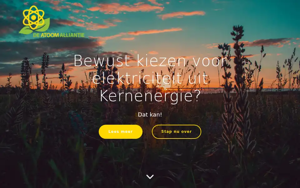 Screenshot of atoomalliantie.nl