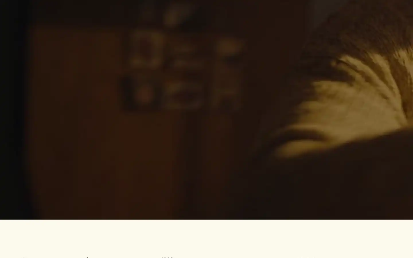 Screenshot of attentive.com