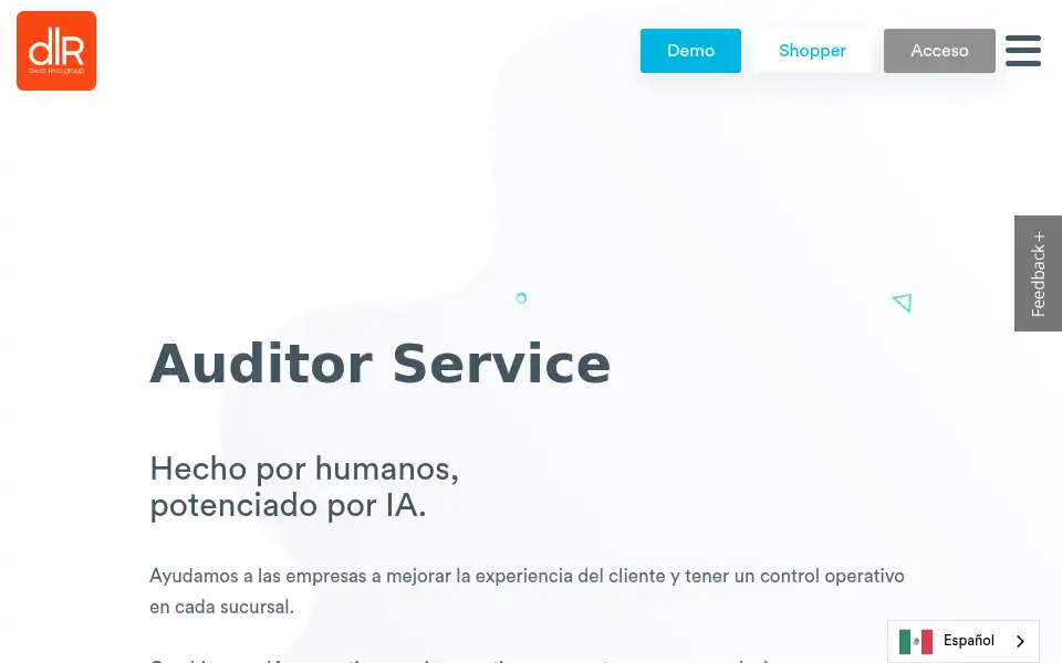 Screenshot of auditorservice.com