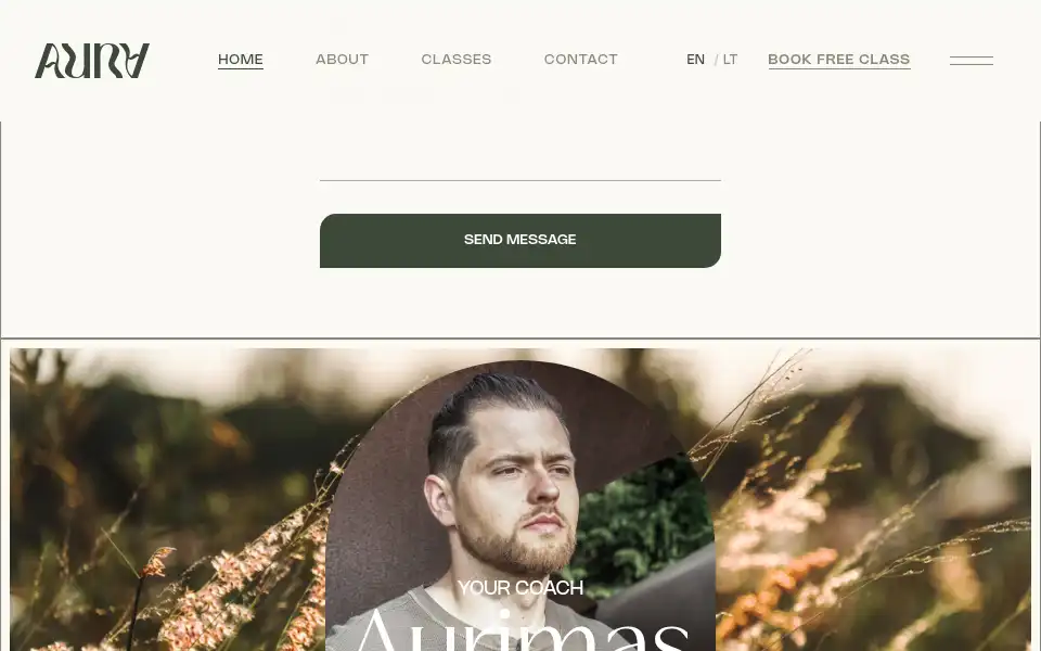 Screenshot of aurawellnessflow.com
