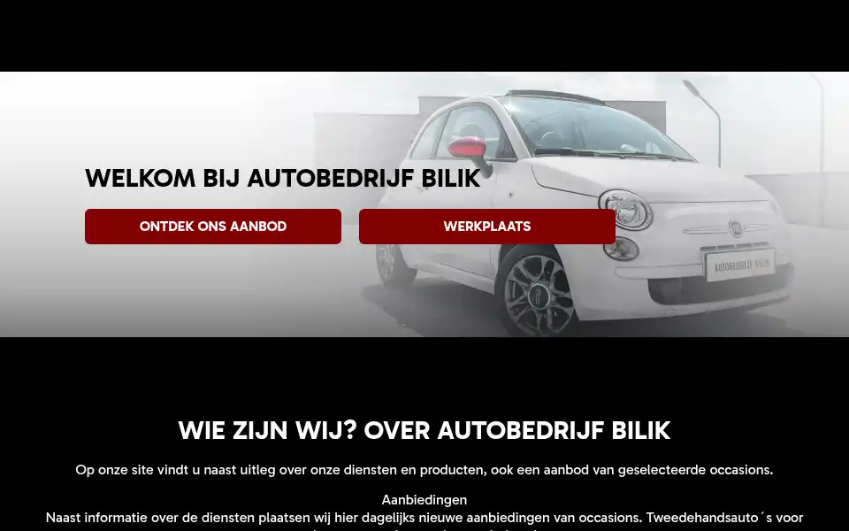 Screenshot of autobedrijfbilik.nl