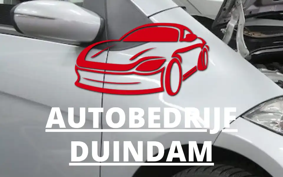 Screenshot of autobedrijfduindam.nl