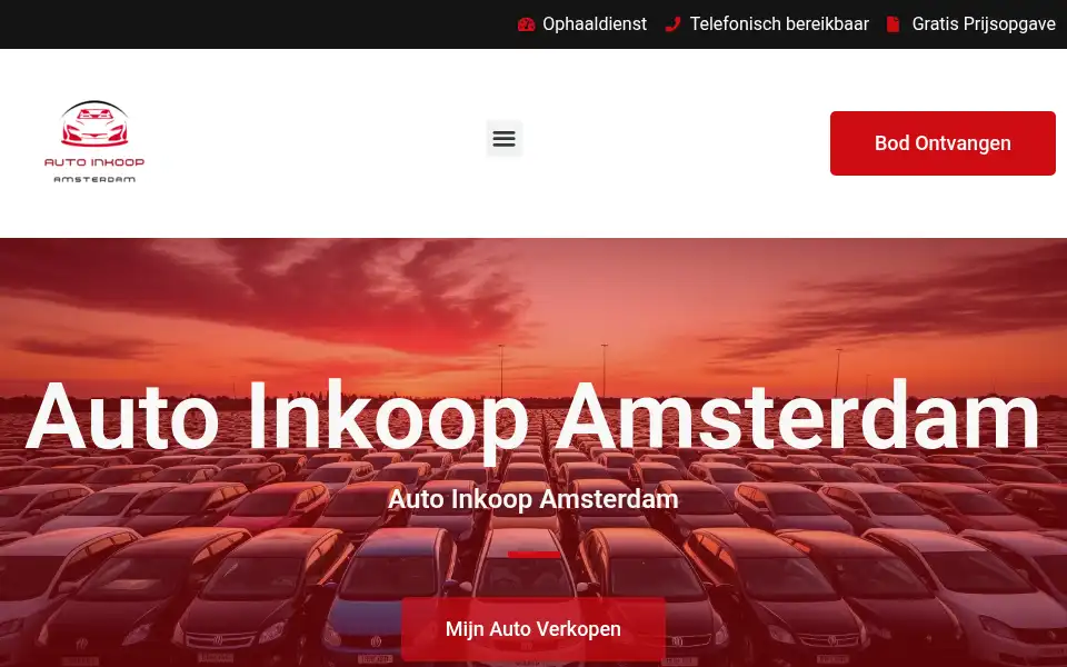 Screenshot of autoinkoopamsterdam.com