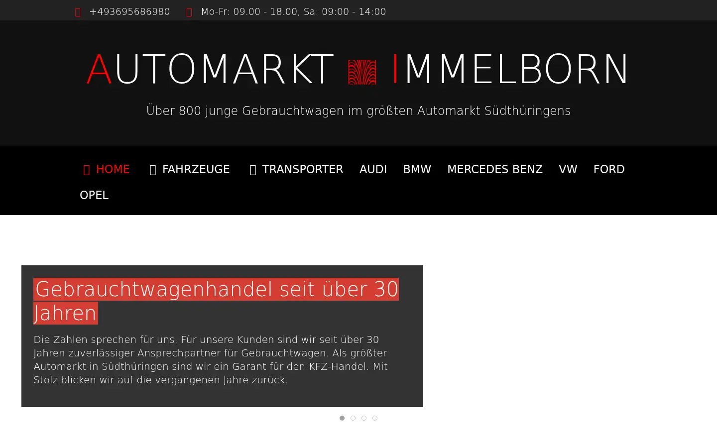 Screenshot of automarkt-immelborn.de