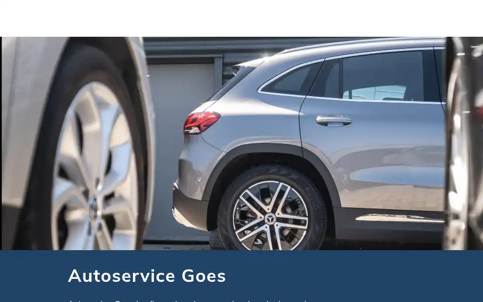 Screenshot of autoservicegoes.nl
