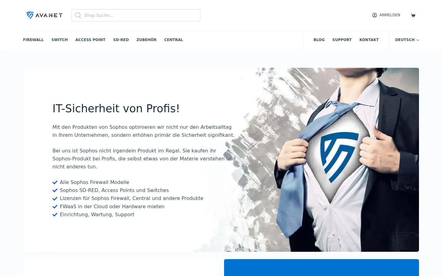 Screenshot of avanet.com