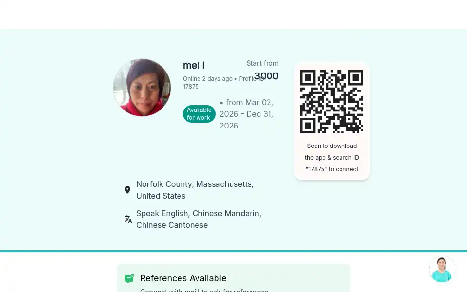 Screenshot of ayiconnection.com