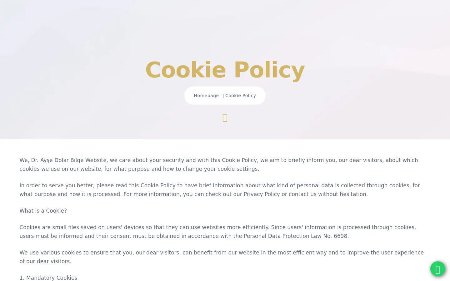 Screenshot of aysedolarbilge.com
