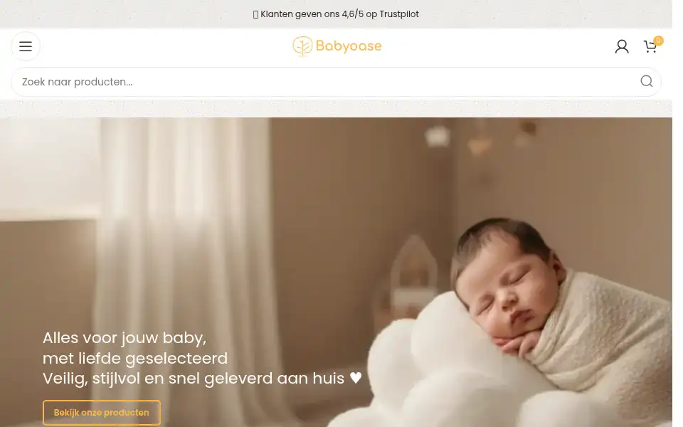 Screenshot of babyoase.be