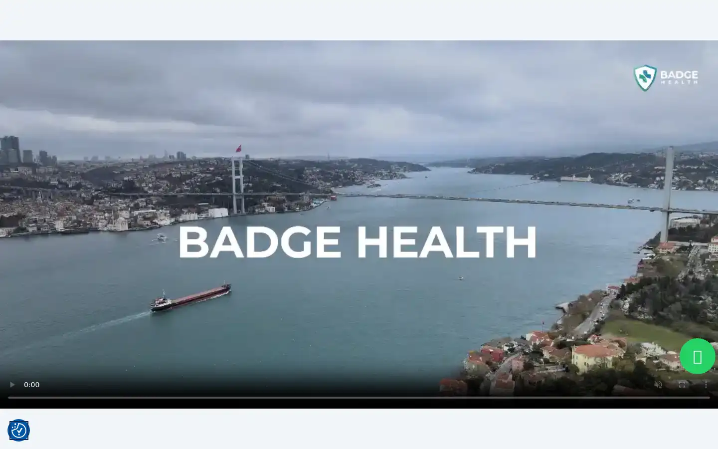 Screenshot of badgehealth.com