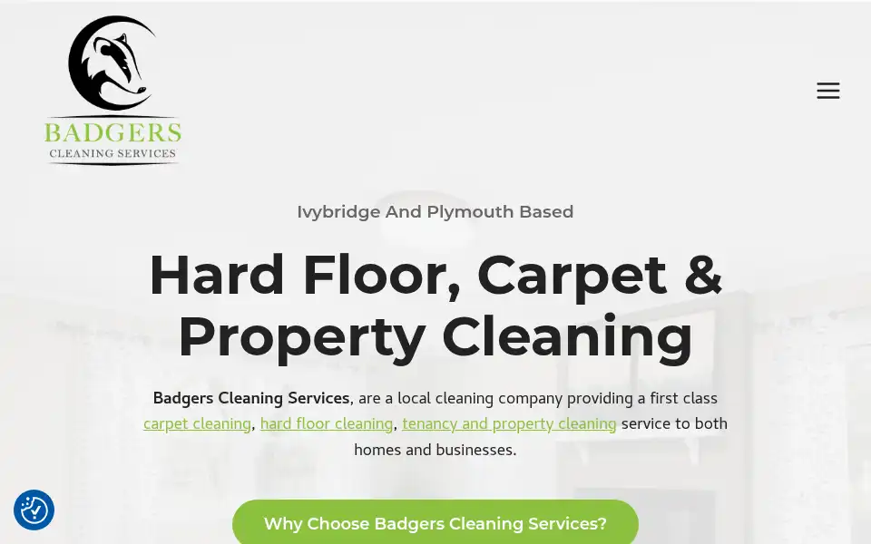 Screenshot of badgerscleaning.co.uk