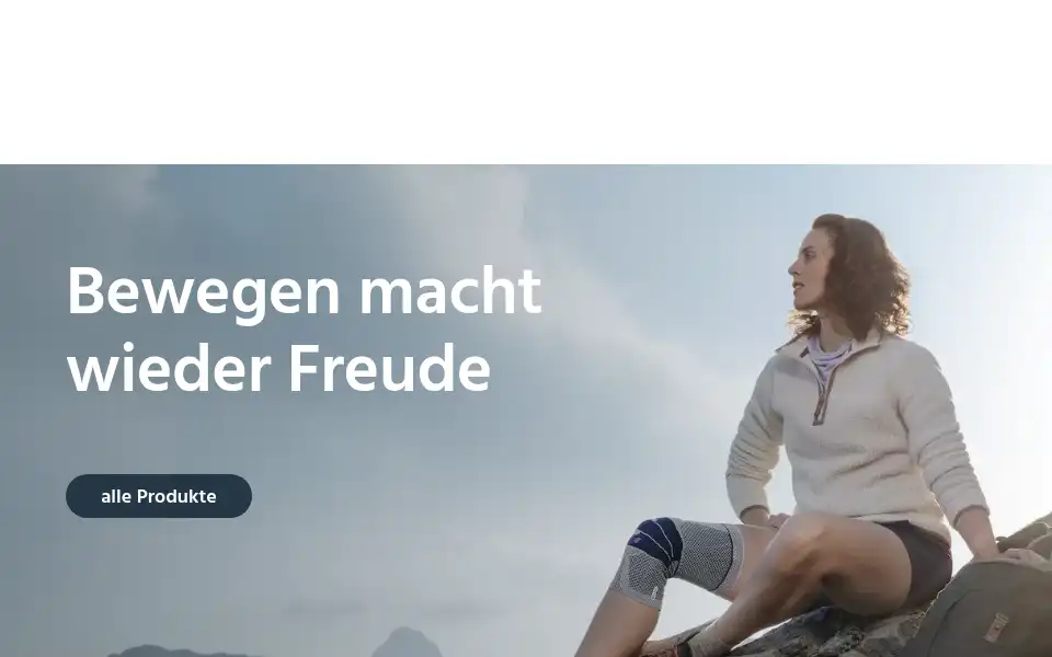 Screenshot of baehler.com