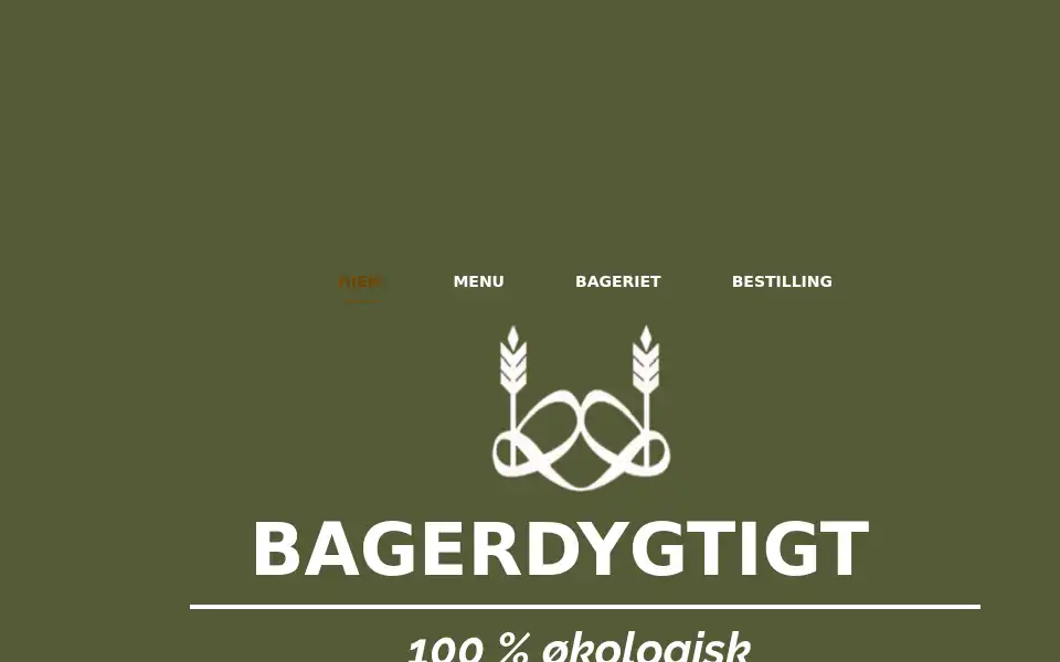 Screenshot of bagerdygtigt.dk