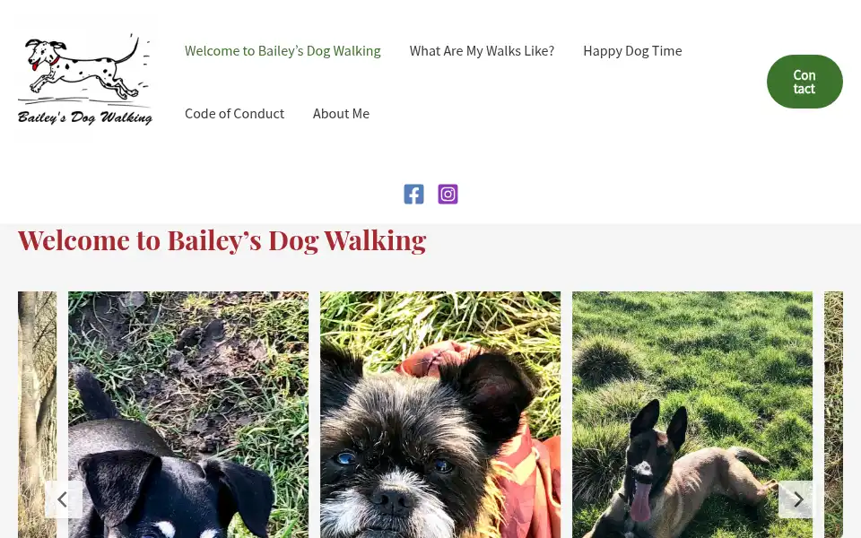 Screenshot of baileysdogwalking.co.uk