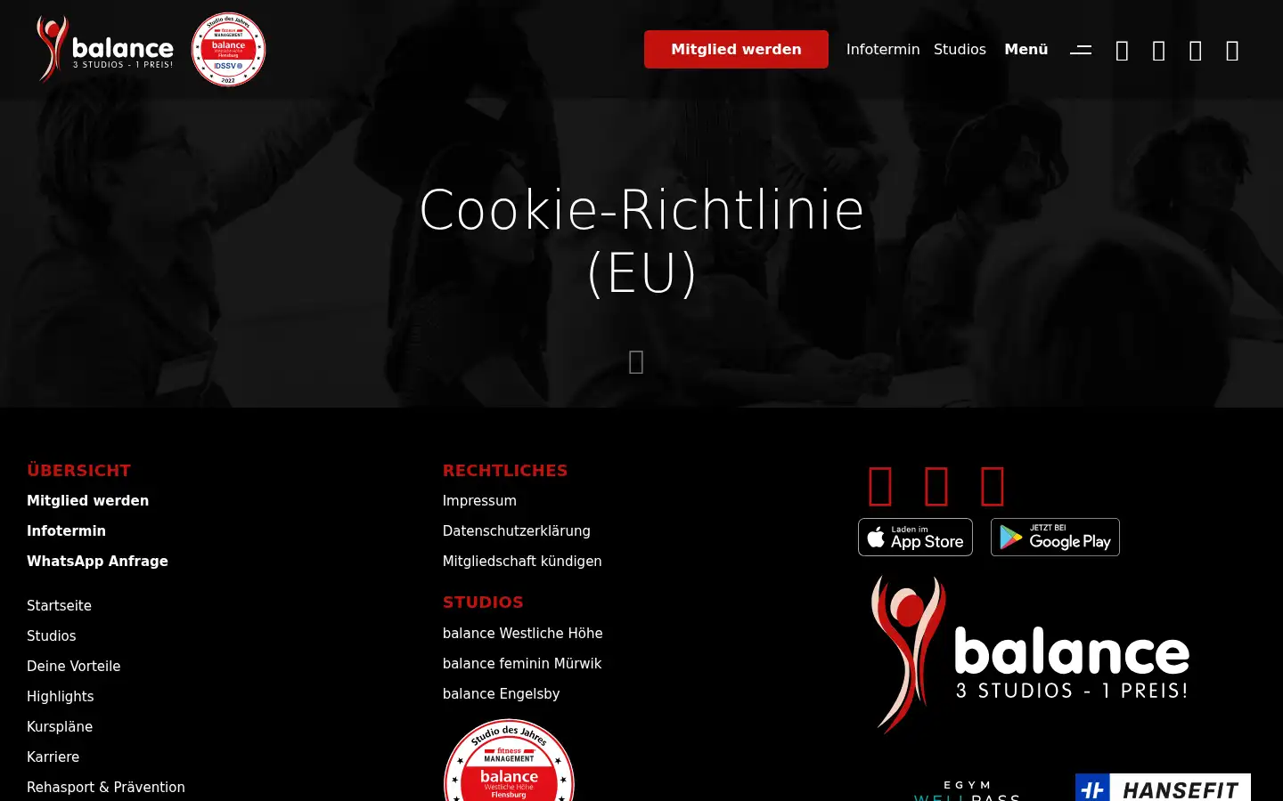 Screenshot of balance-flensburg.de