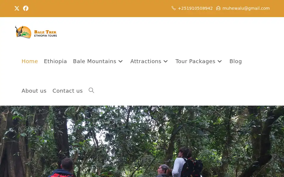 Screenshot of baletrekethiopiatours.com