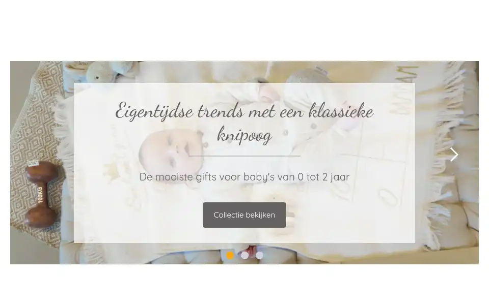 Screenshot of bambam.nl