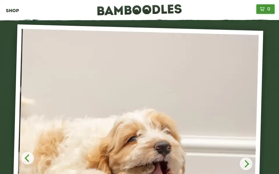 Screenshot of bamboodles.co.uk