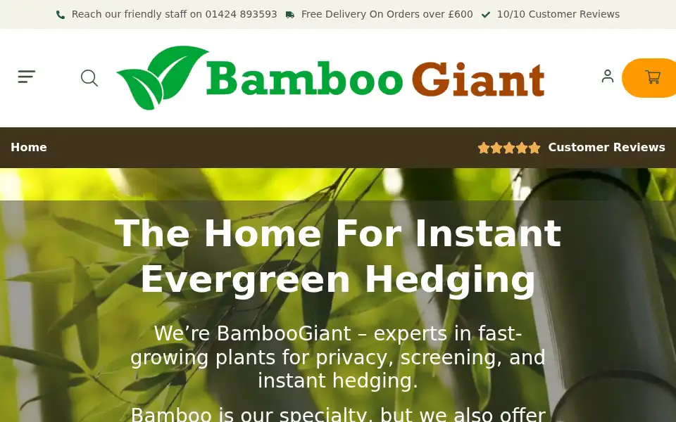 Screenshot of bamboogiant.co.uk